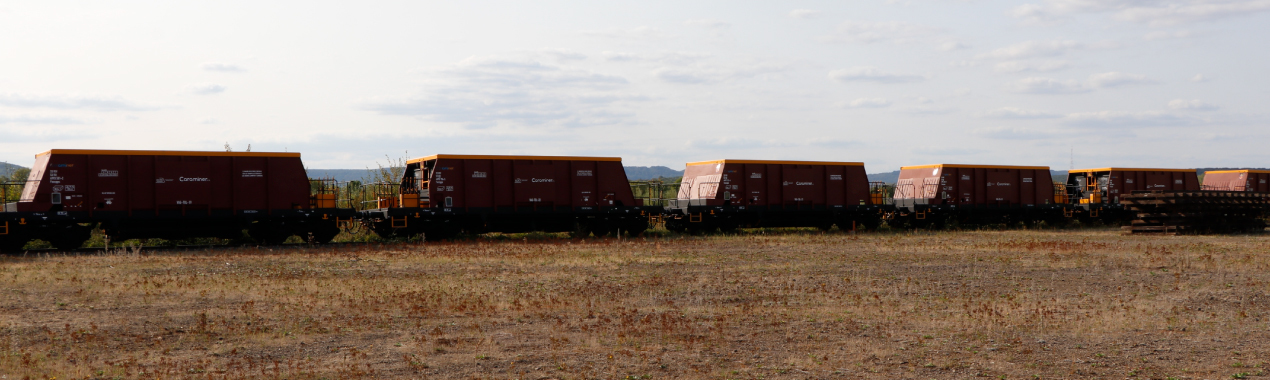 Custom bogie design and manufacturing – Vagotech special projects